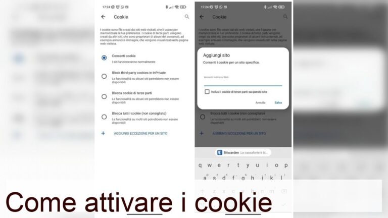 Guida all’attivazione dei cookie su Google