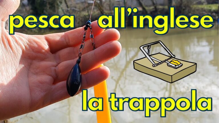 Approcci Efficaci per Sondare l’Opinione Pubblica