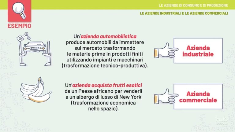 Esempi di Aziende di Erogazione: Best Practices e Modelli di Successo