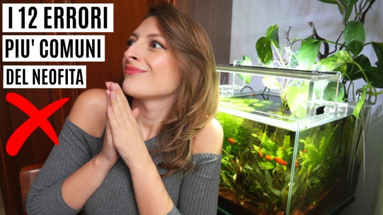 Cosa Significa Neofita: Definizione e Significato