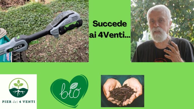 Moda AI 4 Venti: Innovazione e Stile Sostenibile