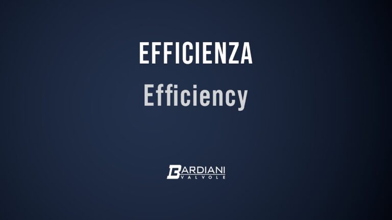 Cosa Significa Essere Efficiente?