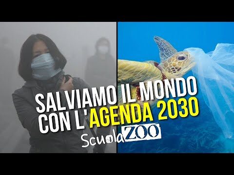 Articoli Essenziali per l’Agenda 2030