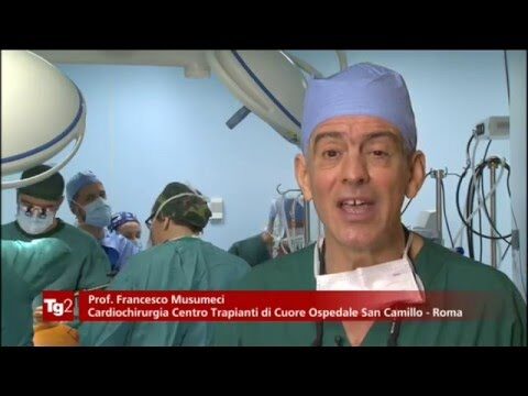 Supporto Meccanico Artificiale: Innovazioni e Applicazioni